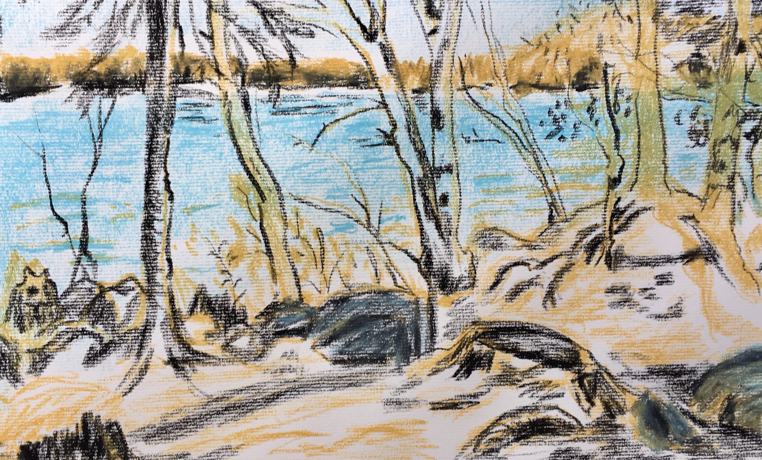 Drawing Outdoors Class  – Spring 2023